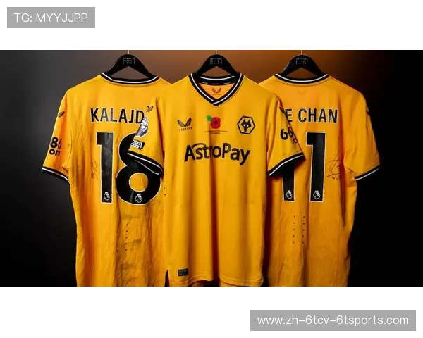 英超球员佩戴红花致敬仪式背后意义